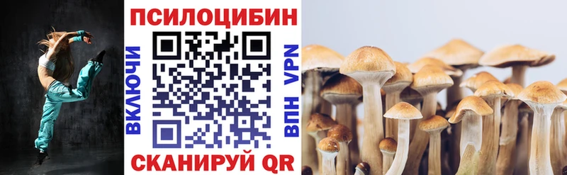 блэк спрут рабочий сайт Назарово Псилоцибиновые грибы Magic Shrooms